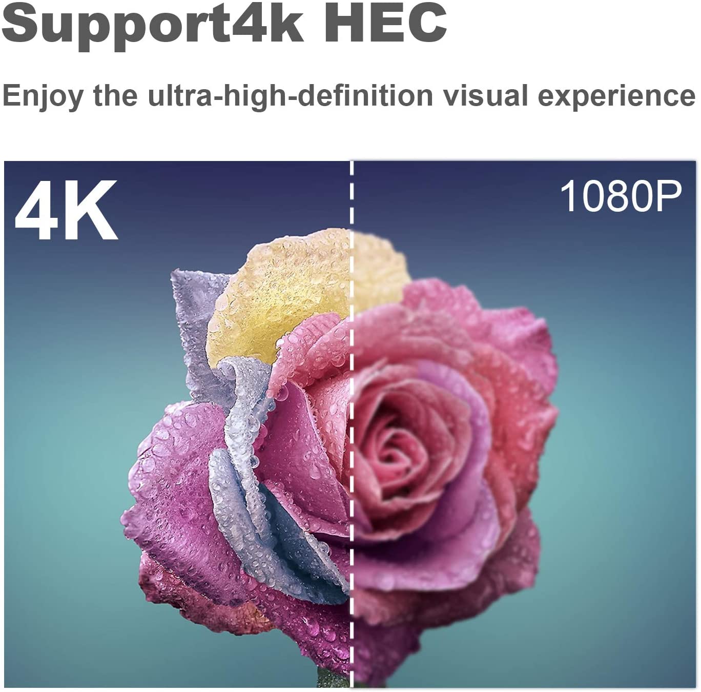 HDMI Male to Female Swivel Adapter