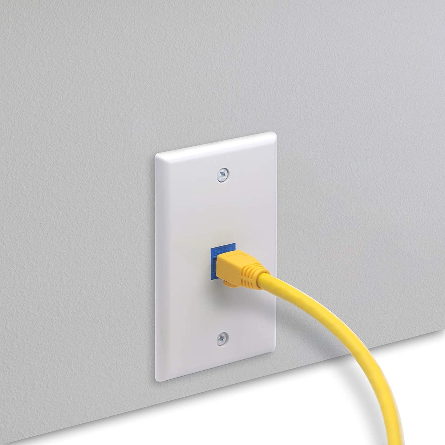 Ethernet Wall Plate 1 Port